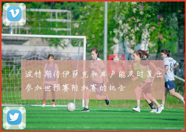 波特期待伊萨克和库卢能及时复出参加世预赛附加赛的机会