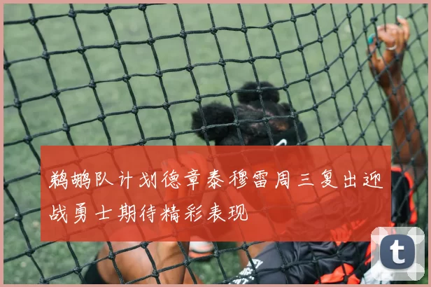 鹈鹕队计划德章泰穆雷周三复出迎战勇士期待精彩表现
